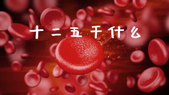 十二五干什么_https://m.lcpcjs.com_恒指期货保证金_第1张