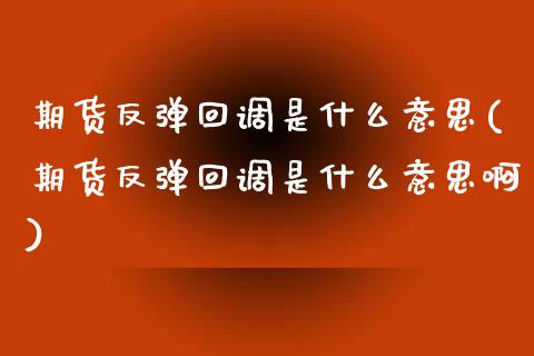 期货反弹回调是什么意思(期货反弹回调是什么意思啊)_https://m.lcpcjs.com_期货交易_第1张