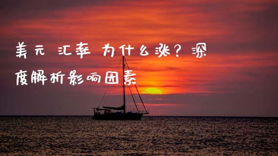 美元 汇率 为什么涨？深度解析影响因素_https://m.lcpcjs.com_期货交易_第1张