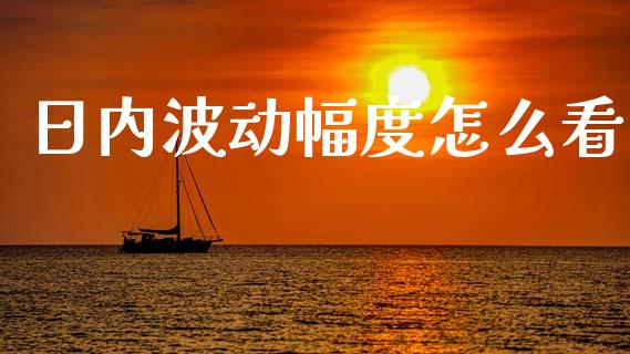 日内波动幅度怎么看_https://m.lcpcjs.com_期货交易_第1张