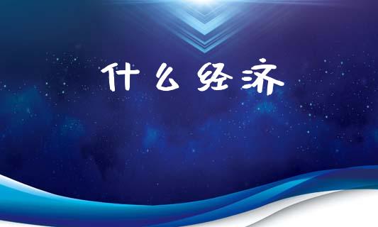 什么经济_https://m.lcpcjs.com_期货交易时间_第1张