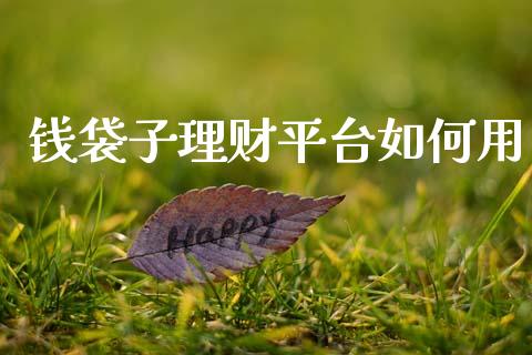 钱袋子理财平台如何用_https://m.lcpcjs.com_期货交易_第1张