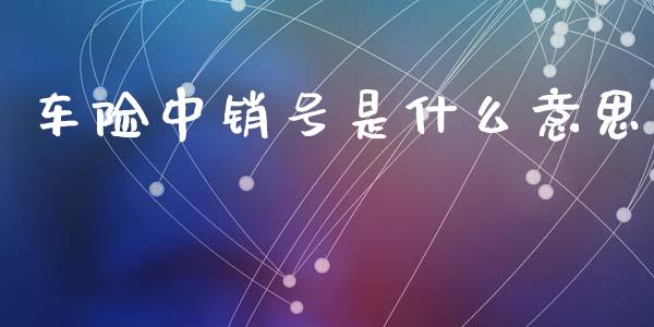 车险中销号是什么意思_https://m.lcpcjs.com_白银期货保证金_第1张