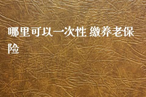 哪里可以一次性 缴养老保险_https://m.lcpcjs.com_期货交易时间_第1张