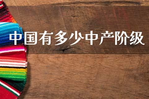 中国有多少中产阶级_https://m.lcpcjs.com_白银期货保证金_第1张