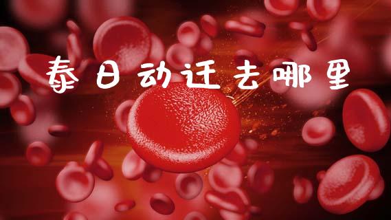 泰日动迁去哪里_https://m.lcpcjs.com_恒指期货保证金_第1张