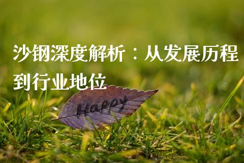 沙钢深度解析：从发展历程到行业地位_https://m.lcpcjs.com_白银期货保证金_第1张