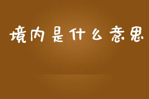 境内是什么意思_https://m.lcpcjs.com_白银期货保证金_第1张