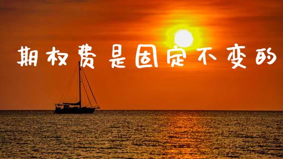 期权费是固定不变的_https://m.lcpcjs.com_期货交易_第1张