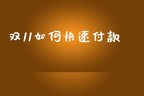 双11如何快速付款_https://m.lcpcjs.com_期货交易时间_第1张