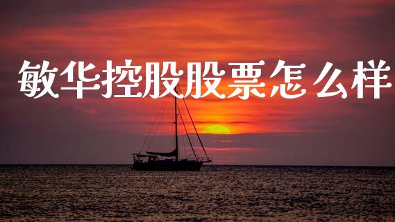 敏华控股股票怎么样_https://m.lcpcjs.com_期货交易_第1张