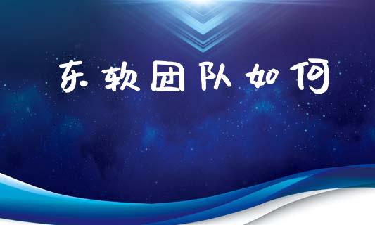 东软团队如何_https://m.lcpcjs.com_期货交易时间_第1张