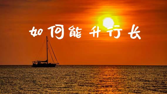 如何能升行长_https://m.lcpcjs.com_白银期货保证金_第1张