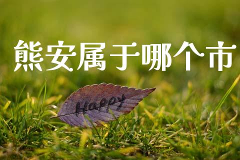 熊安属于哪个市_https://m.lcpcjs.com_期货交易时间_第1张