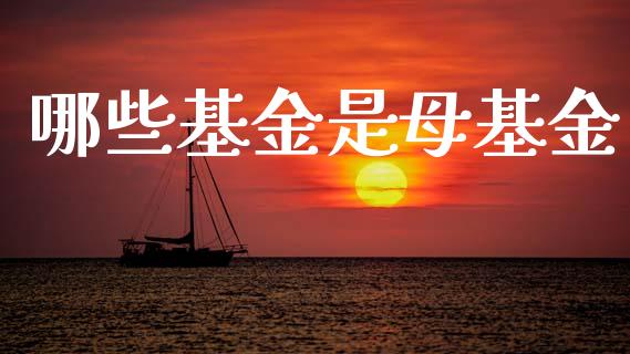 哪些基金是母基金_https://m.lcpcjs.com_期货交易_第1张