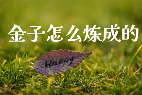 金子怎么炼成的_https://m.lcpcjs.com_期货交易时间_第1张