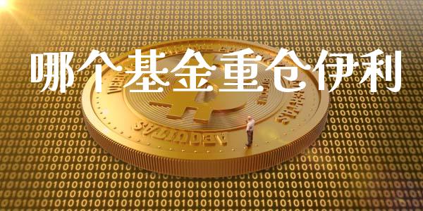 哪个基金重仓伊利_https://m.lcpcjs.com_期货交易_第1张
