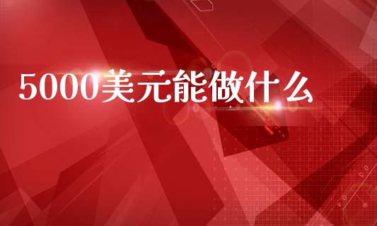 5000美元能做什么_https://m.lcpcjs.com_白银期货保证金_第1张