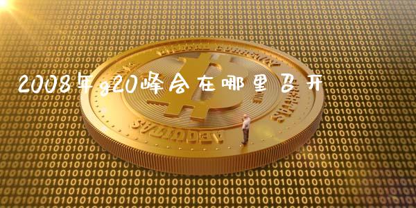 2008年g20峰会在哪里召开_https://m.lcpcjs.com_白银期货保证金_第1张