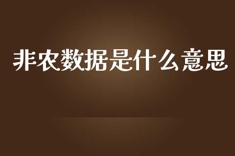 非农数据是什么意思_https://m.lcpcjs.com_恒指期货保证金_第1张