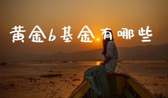 黄金b基金有哪些_https://m.lcpcjs.com_期货交易_第1张