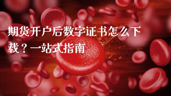 期货开户后数字证书怎么下载？一站式指南_https://m.lcpcjs.com_期货交易_第1张