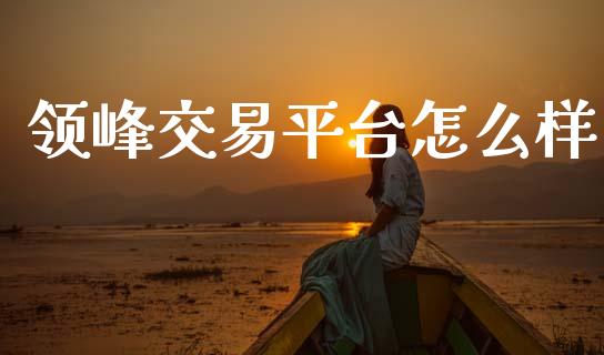领峰交易平台怎么样_https://m.lcpcjs.com_恒指期货保证金_第1张
