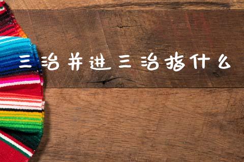 三治并进三治指什么_https://m.lcpcjs.com_恒指期货保证金_第1张