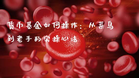 货币基金如何操作：从菜鸟到老手的实操心法_https://m.lcpcjs.com_期货交易时间_第1张