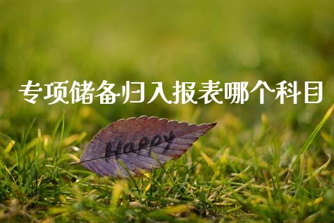 专项储备归入报表哪个科目_https://m.lcpcjs.com_白银期货保证金_第1张