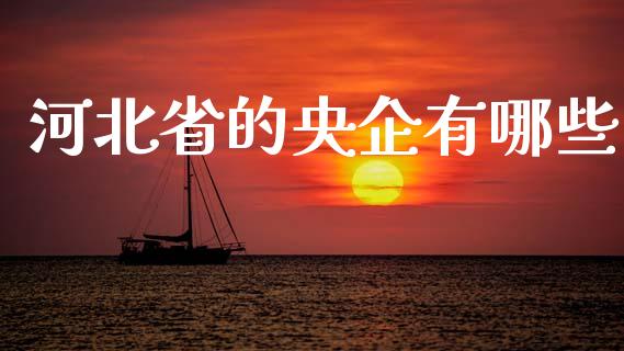 河北省的央企有哪些_https://m.lcpcjs.com_期货交易_第1张