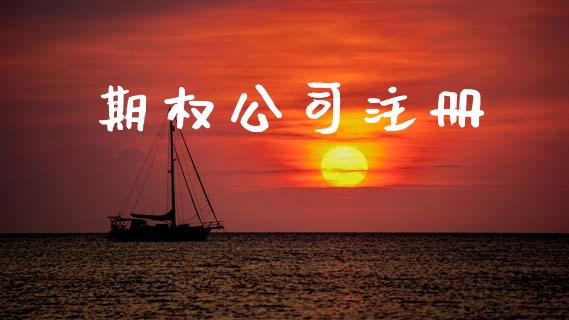 期权公司注册_https://m.lcpcjs.com_白银期货保证金_第1张