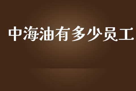 中海油有多少员工_https://m.lcpcjs.com_白银期货保证金_第1张