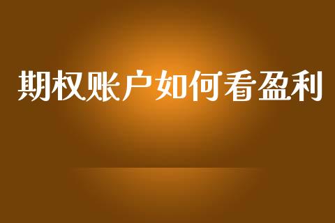 期权账户如何看盈利_https://m.lcpcjs.com_恒指期货保证金_第1张