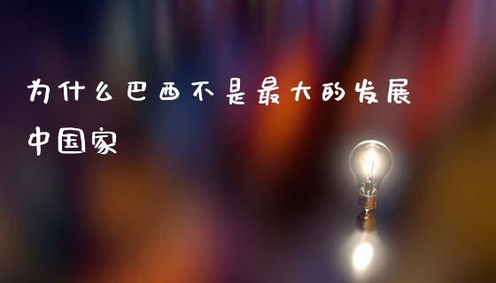 为什么巴西不是最大的发展中国家_https://m.lcpcjs.com_白银期货保证金_第1张