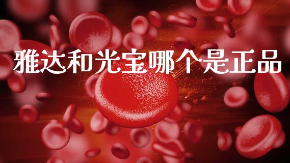 雅达和光宝哪个是正品_https://m.lcpcjs.com_期货交易时间_第1张
