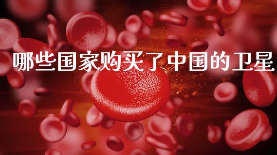 哪些国家购买了中国的卫星_https://m.lcpcjs.com_恒指期货保证金_第1张