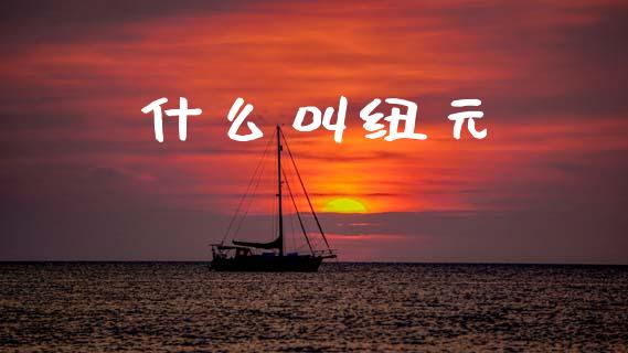 什么叫纽元_https://m.lcpcjs.com_恒指期货保证金_第1张