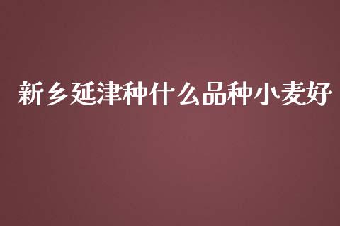 新乡延津种什么品种小麦好_https://m.lcpcjs.com_期货交易时间_第1张
