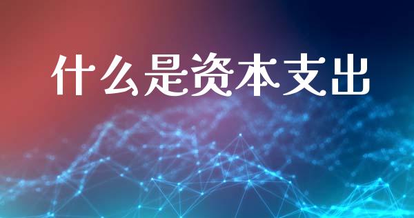 什么是资本支出_https://m.lcpcjs.com_期货交易_第1张