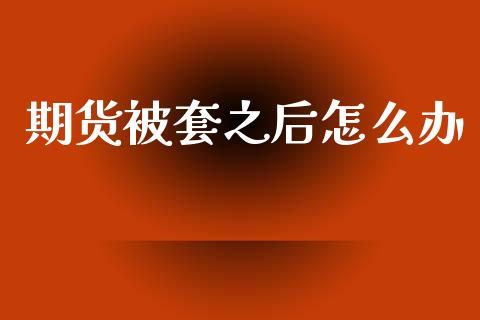 期货被套之后怎么办_https://m.lcpcjs.com_白银期货保证金_第1张