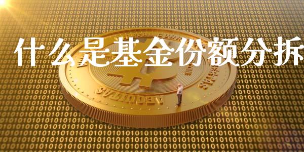 什么是基金份额分拆_https://m.lcpcjs.com_白银期货保证金_第1张