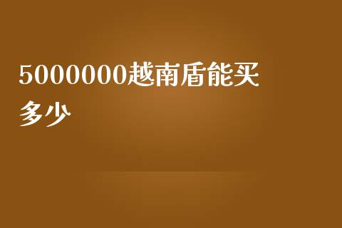 5000000越南盾能买多少_https://m.lcpcjs.com_恒指期货保证金_第1张