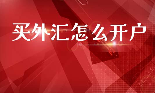 买外汇怎么开户_https://m.lcpcjs.com_恒指期货保证金_第1张