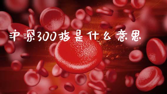 沪深300指是什么意思_https://m.lcpcjs.com_白银期货保证金_第1张