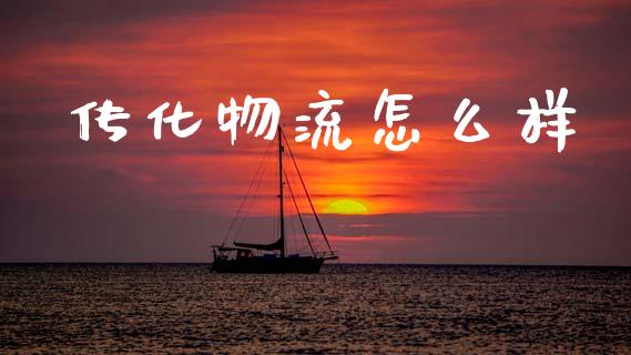传化物流怎么样_https://m.lcpcjs.com_恒指期货保证金_第1张