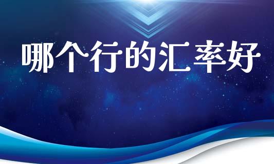 哪个行的汇率好_https://m.lcpcjs.com_恒指期货保证金_第1张