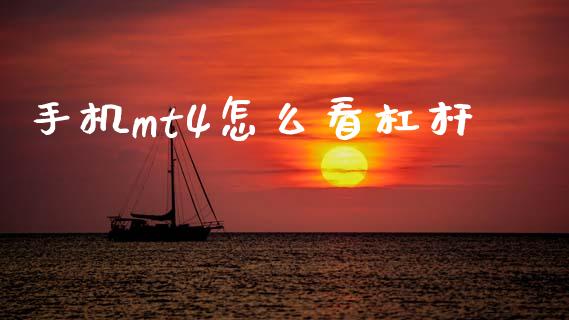 手机mt4怎么看杠杆_https://m.lcpcjs.com_期货交易_第1张