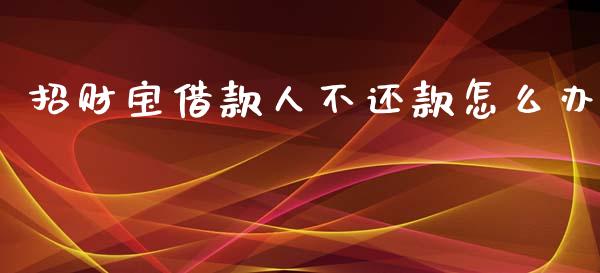 招财宝借款人不还款怎么办_https://m.lcpcjs.com_期货交易_第1张