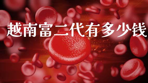越南富二代有多少钱_https://m.lcpcjs.com_恒指期货保证金_第1张